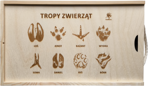 Tropy zwierząt 02