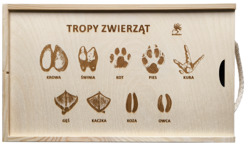 Tropy zwierząt 03