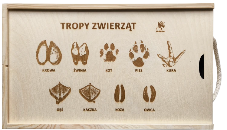 Tropy zwierząt 03