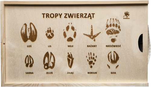 Tropy zwierząt 04