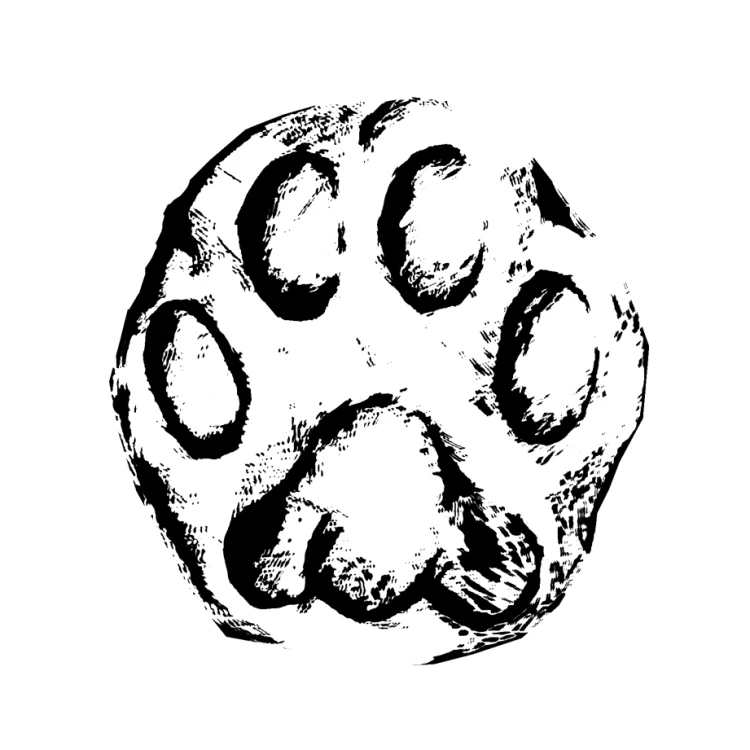 ryś