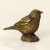 wróbel bronze003.png