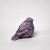 wild violet02.png