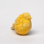 apricot02.png