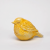 apricot04.png
