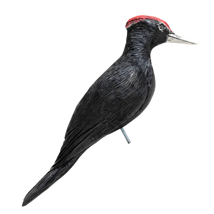 czarny02.png